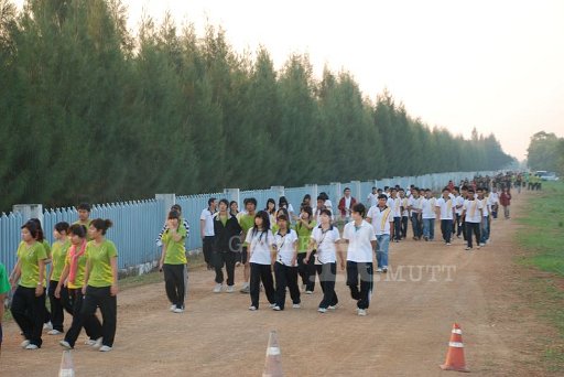 DSC_0484 Copy.JPG